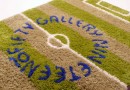 Gallery 1950 Football Field Mat
