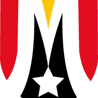 North Eastern Metrostars F.C.