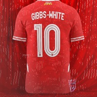 Nottingham Forest FC Home Kit Concept