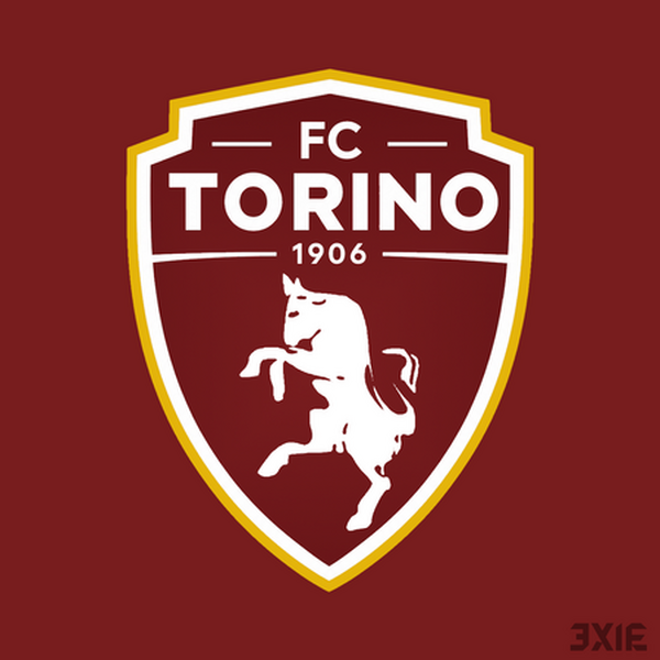 Torino | Redesign