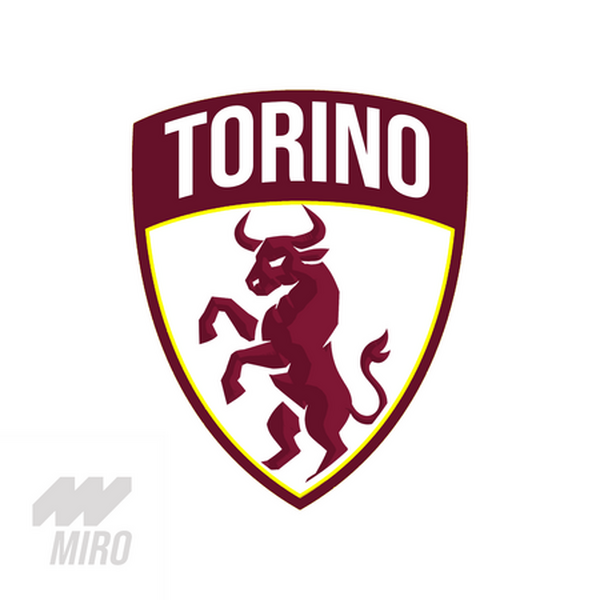 FC Torino