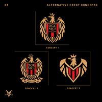 OGC NICE CREST REDESIGN