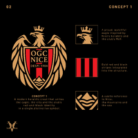 OGC NICE CREST REDESIGN