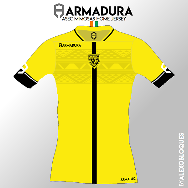 ASEC MIMOSAS | ARMADURA HOME KIT