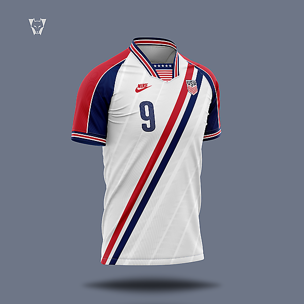 USA x Nike kit