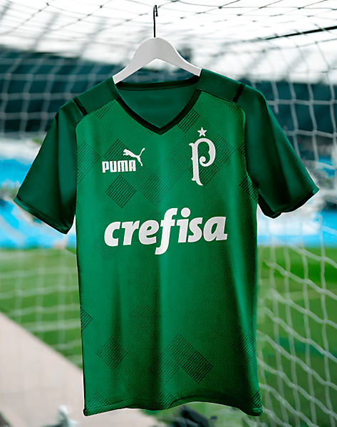 Palmeiras Puma Home