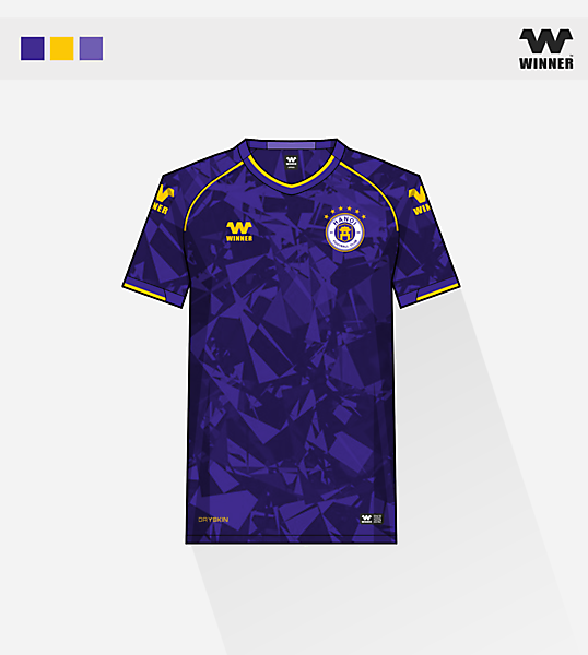 hanoi fc home