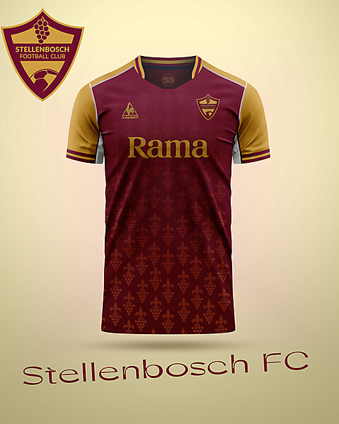 Stellenbosch FC home concept