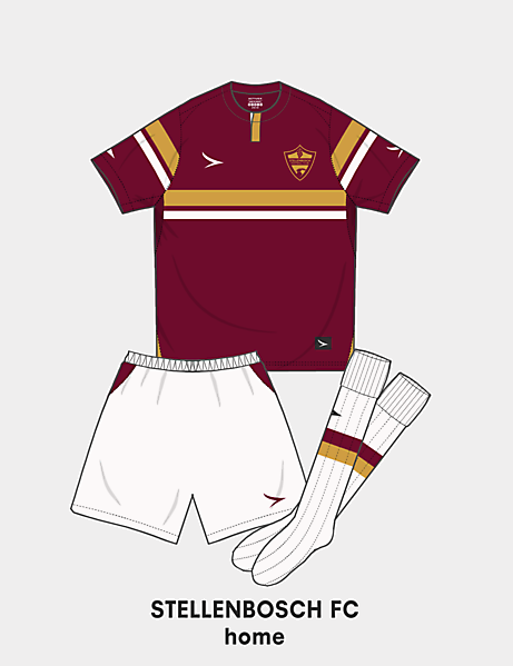 stellenbosch fc home