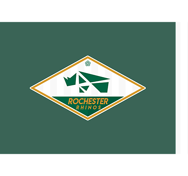 rochester rhinos