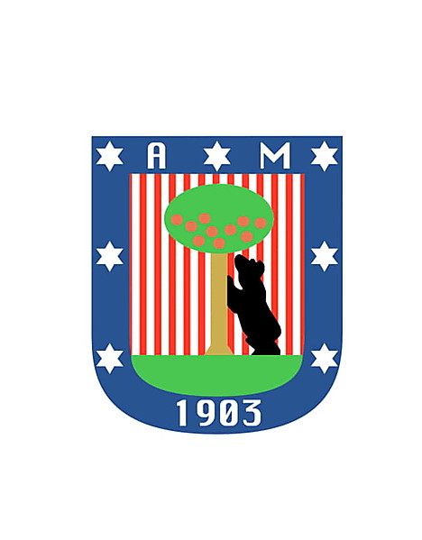 Atletico Madrid redesign