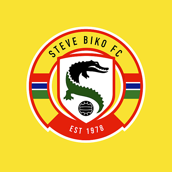 Steve Biko FC