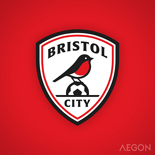 Bristol City FC