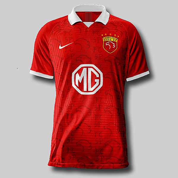 Shangai Port FC Home