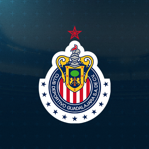 Escudo Actual / Current Crest