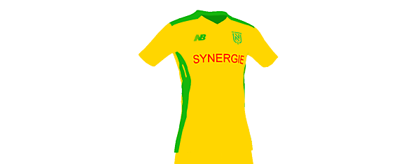 Nantes home