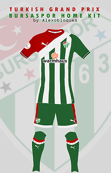 Bursaspor Home Kit