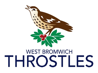 West Bromwich Throstles (PL in NFL style)