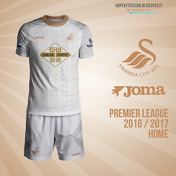 Swansea Joma 2016/2017