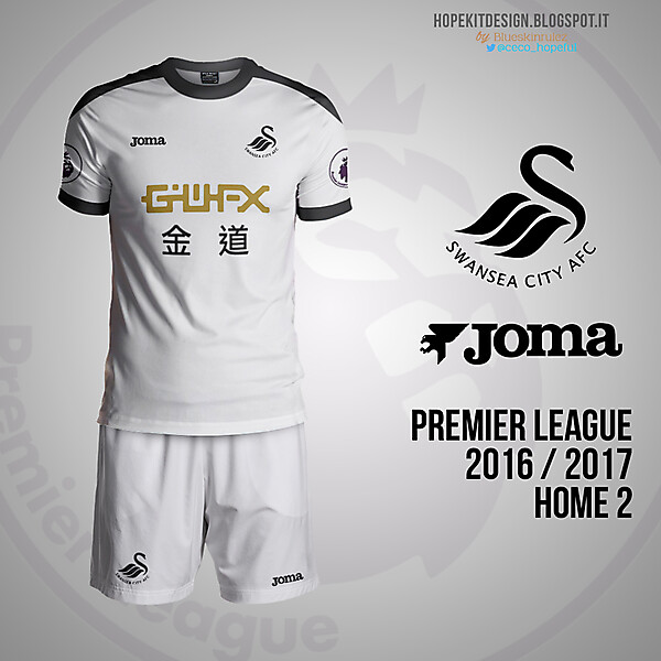 Swansea Joma Home 2