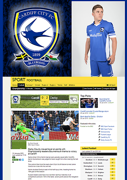 Cardiff City Branding Concept