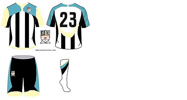 Stafford Rangers Home 2009/10