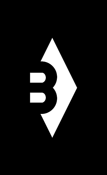 Borussia Moenchengladbach different look logo concept 