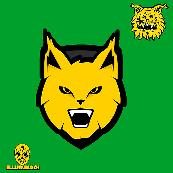 Tampereen Ilves