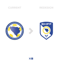 Bosnia National Football Team