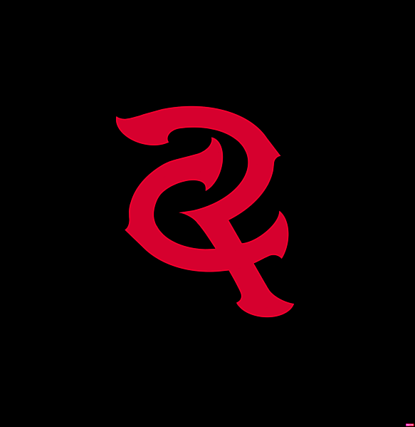 Clube de Regatas do Flamengo logo concept.