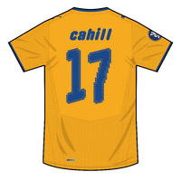 Everton 08-09 Puma away concept