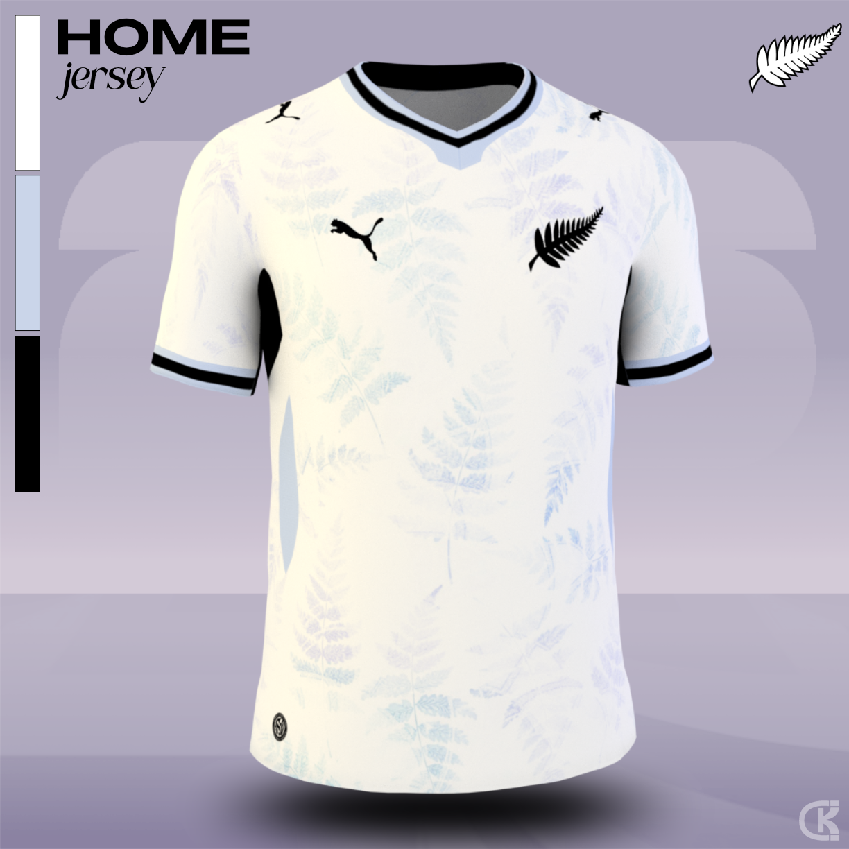 New Zealand Home Concept