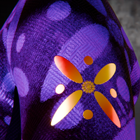 Kaviani Flag concept