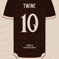 Bristol City - Alt Shirt Concept
