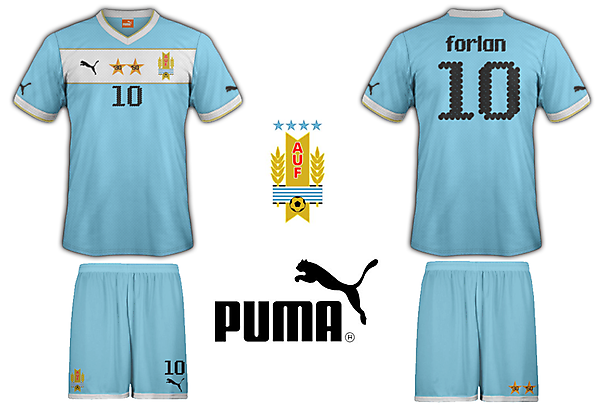 Uruguay Puma Home Kit