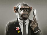 mr.safc
