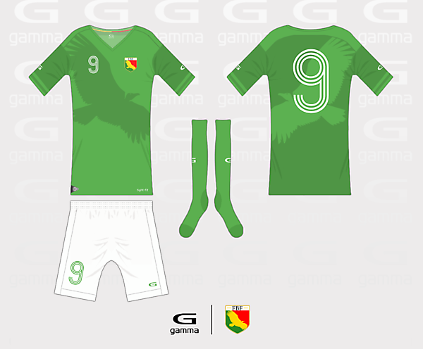 Bolivia home