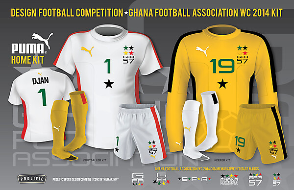 GFA WC 2014 Home Kit