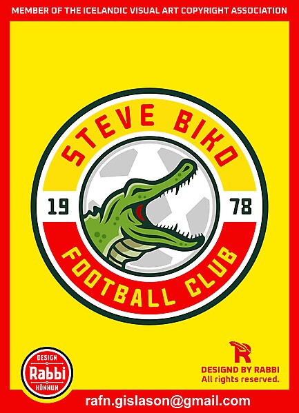Steve Biko FC