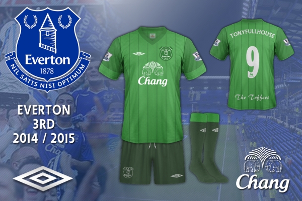 Everton 2014 / 2015 3rd Kit