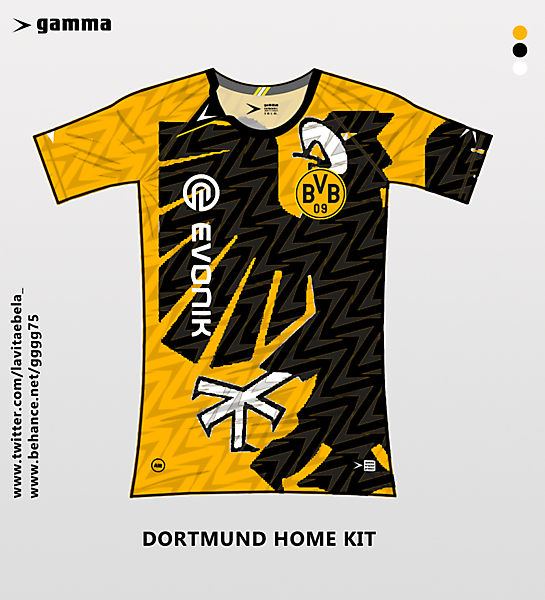 dortmund home kit