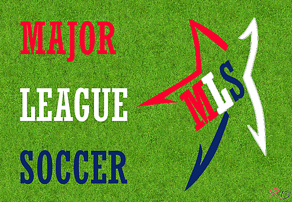 MLS logo Standard