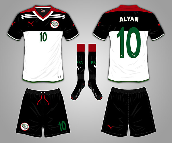 PALESTINE home kit