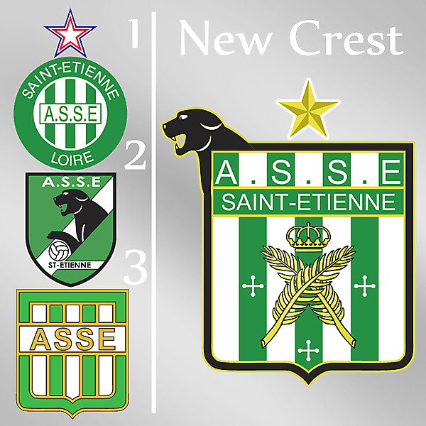 AS Saint Etienne