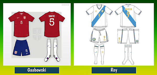 Gaabowski v Rey