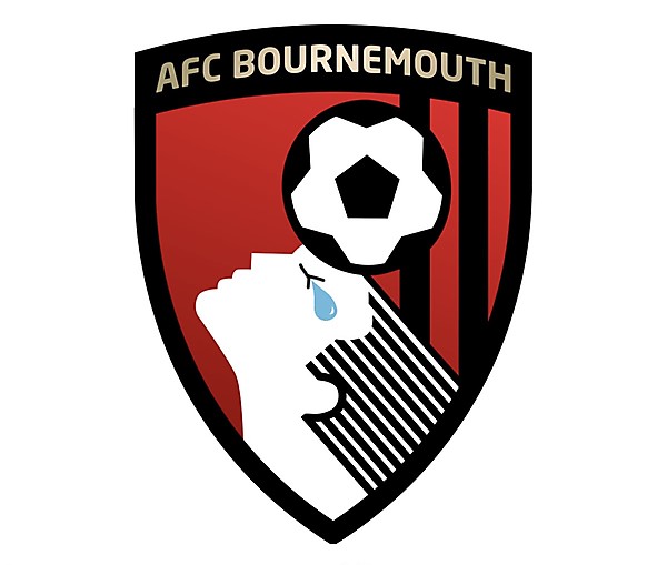 Bournemouth crest after relegation 