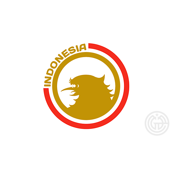 INDONESIA NATIONAL FOOTBALL TEAM