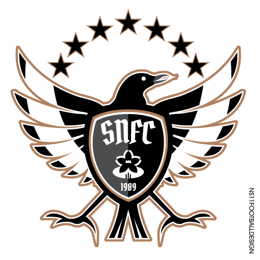 seongnam f.c