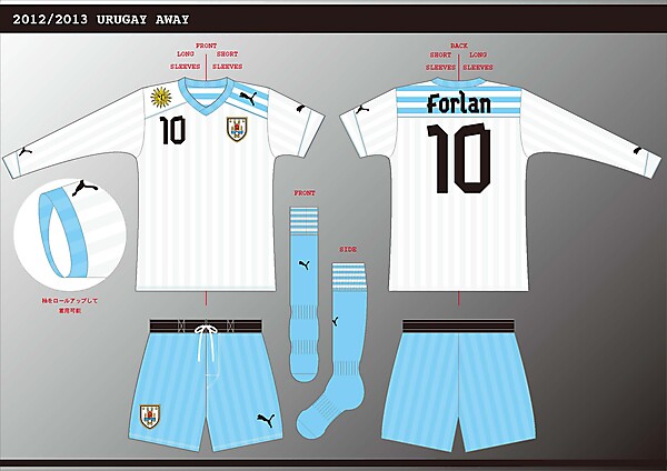 2012-13 puma