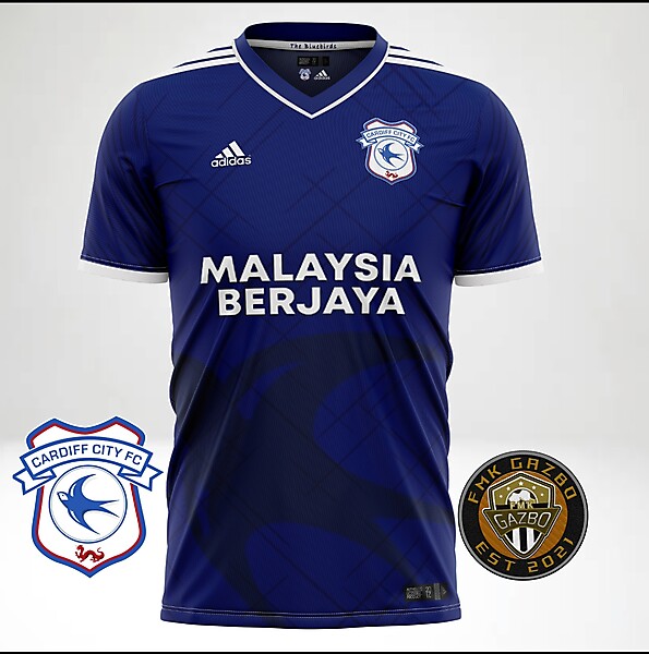 Cardiff City Home Concept 